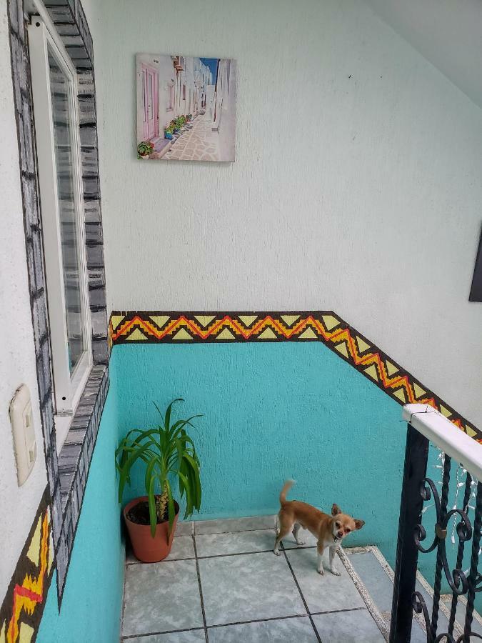 Posada Paso Del Sol 女人岛 外观 照片